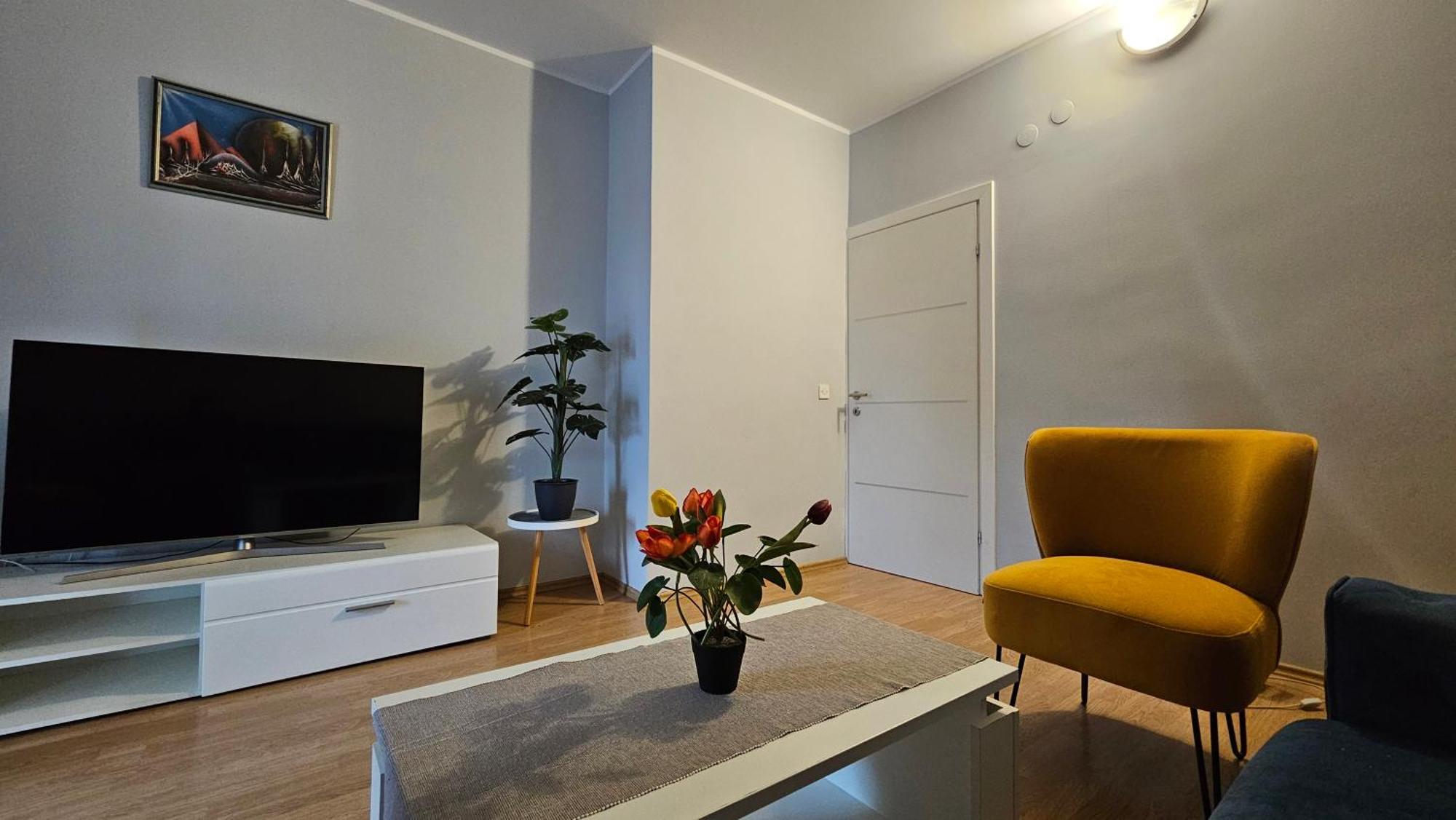 Apartments Betty Borik 罗维尼 外观 照片